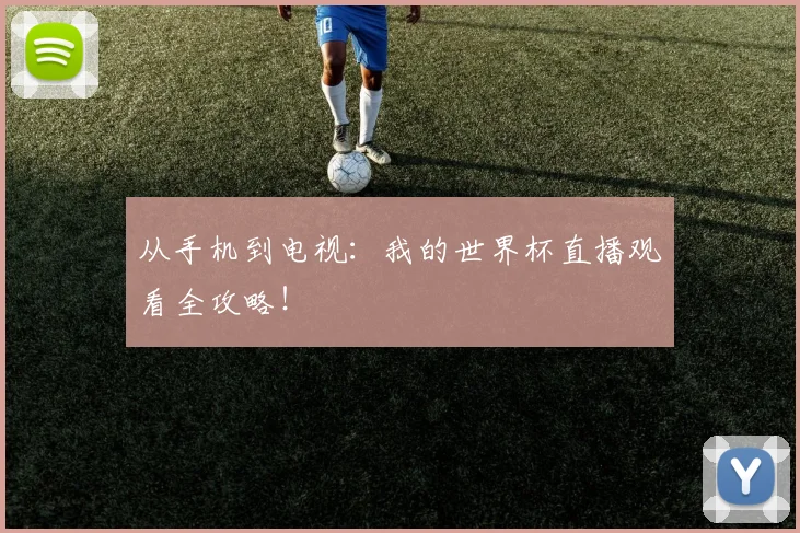 从手机到电视:我的世界杯直播观看全攻略!