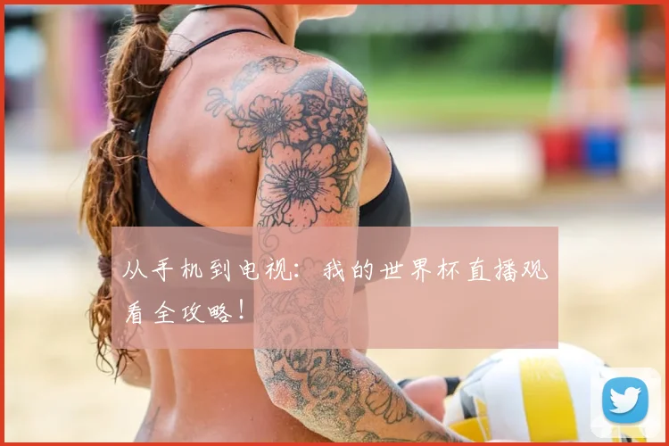 从手机到电视:我的世界杯直播观看全攻略!