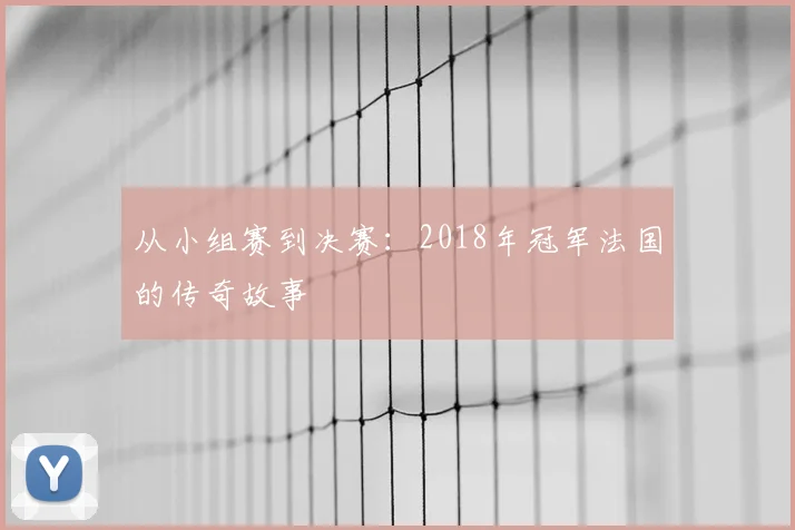 从小组赛到决赛：2018年冠军法国的传奇故事