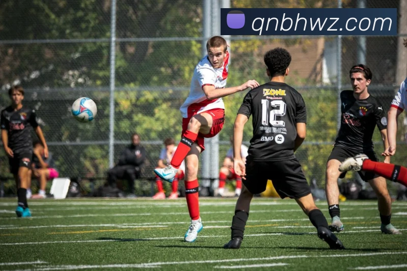 leyu乐鱼中国官方网站服务体系